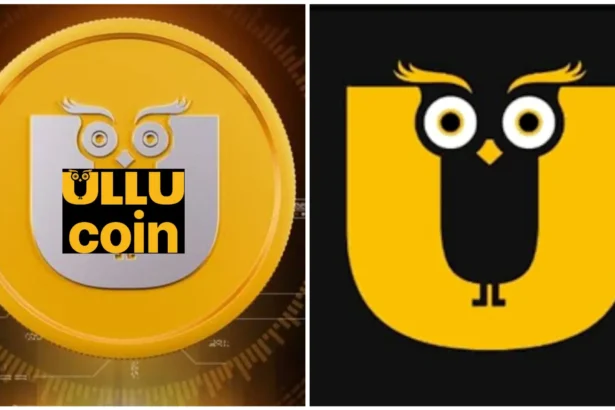 Ullu Coin